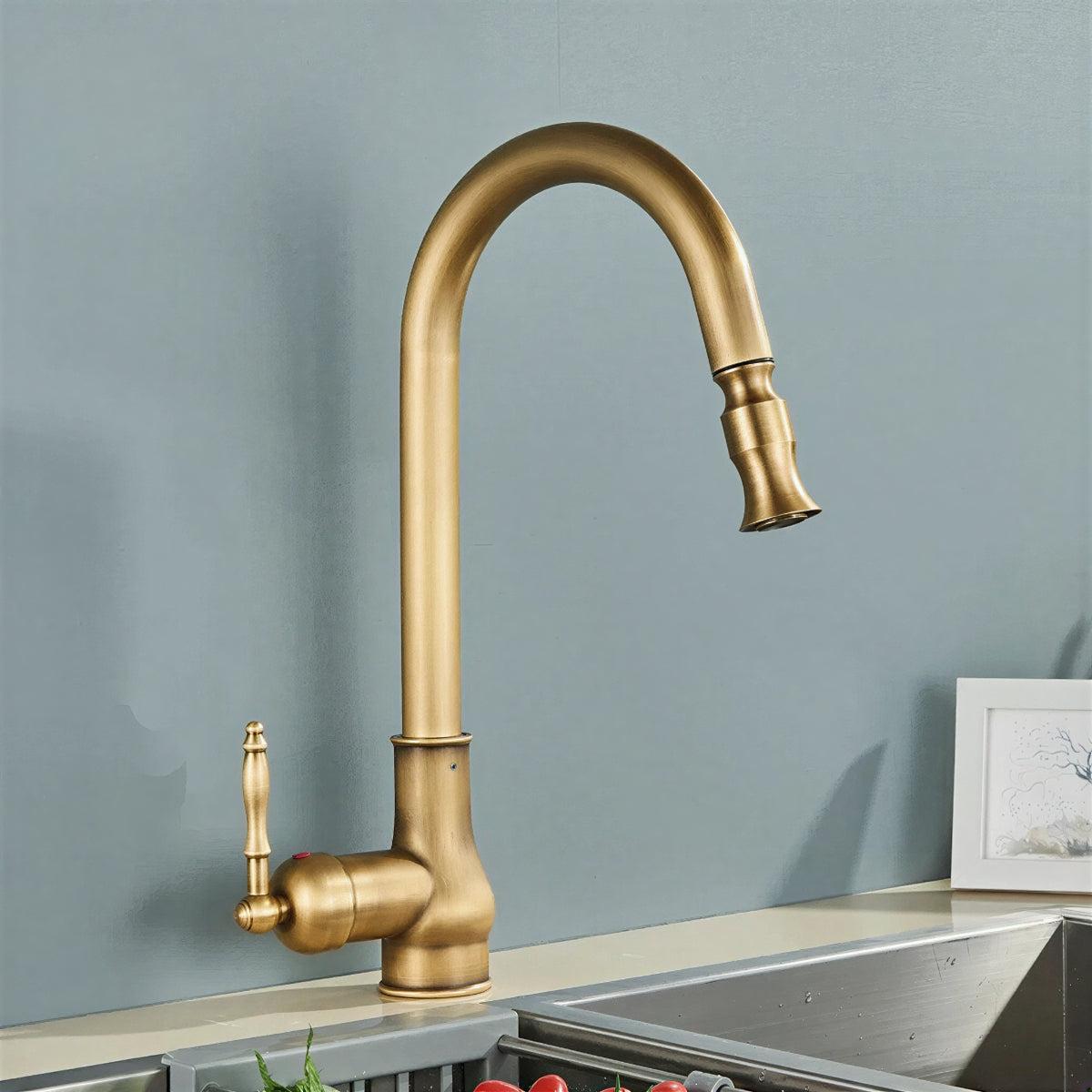 Antique Kitchen Faucet with Pull Out Spray And Swivel Spout