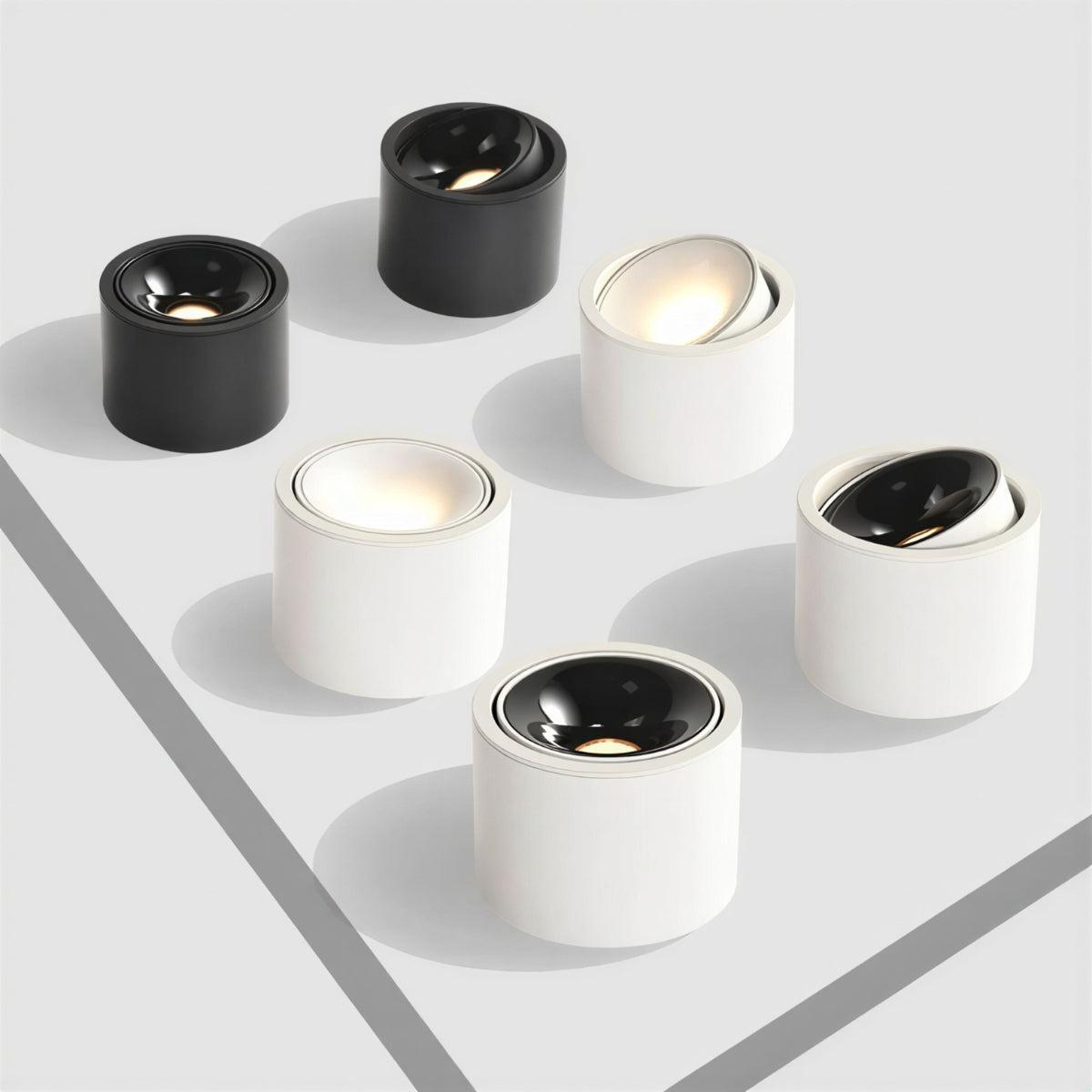 Cylindrical Flush Mount Ceiling Light Fixture With Adjustable Spotlight