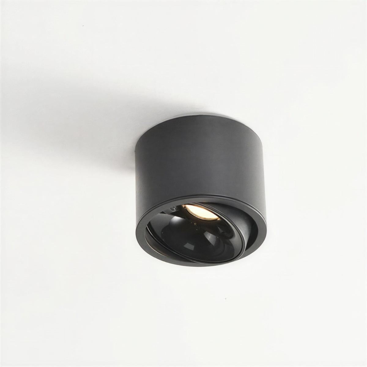 Cylindrical Flush Mount Ceiling Light Fixture With Adjustable Spotlight