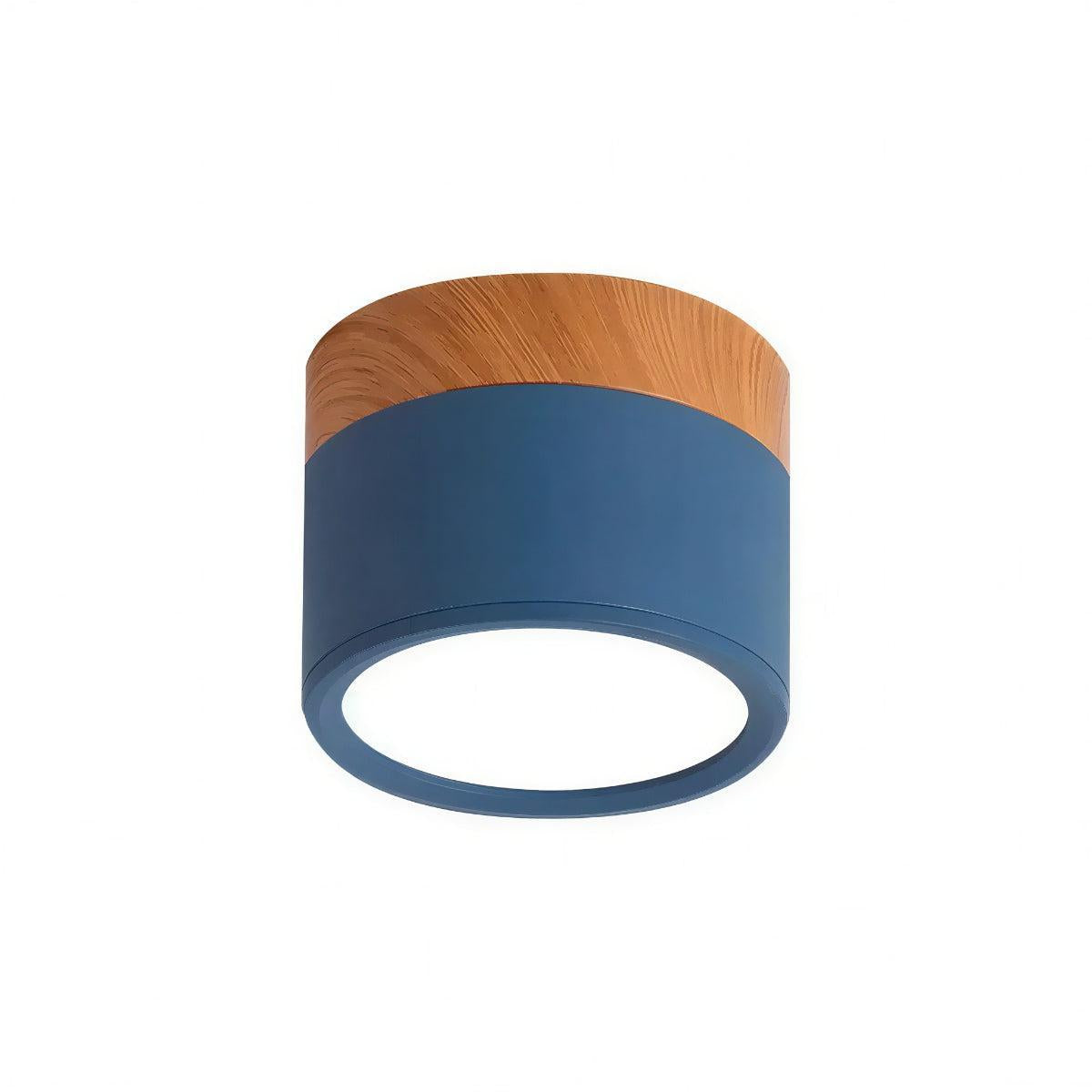 Cylindrical Flush Mount Ceiling Light Fixture With Focused Downlight
