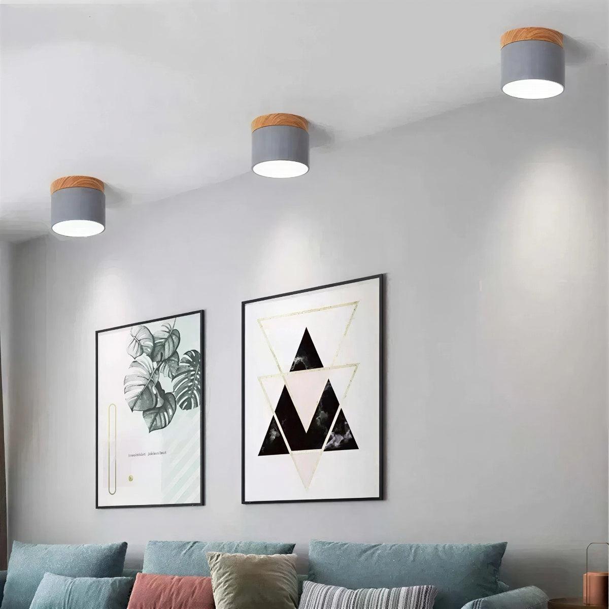 Cylindrical Flush Mount Ceiling Light Fixture With Focused Downlight