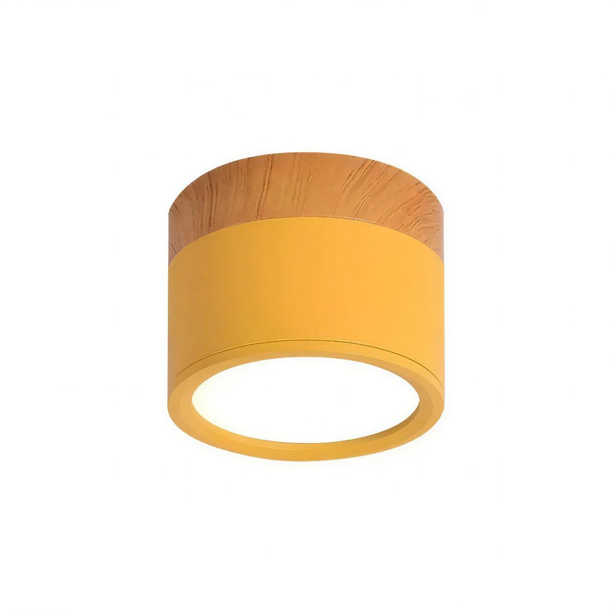 Cylindrical Flush Mount Ceiling Light Fixture With Focused Downlight