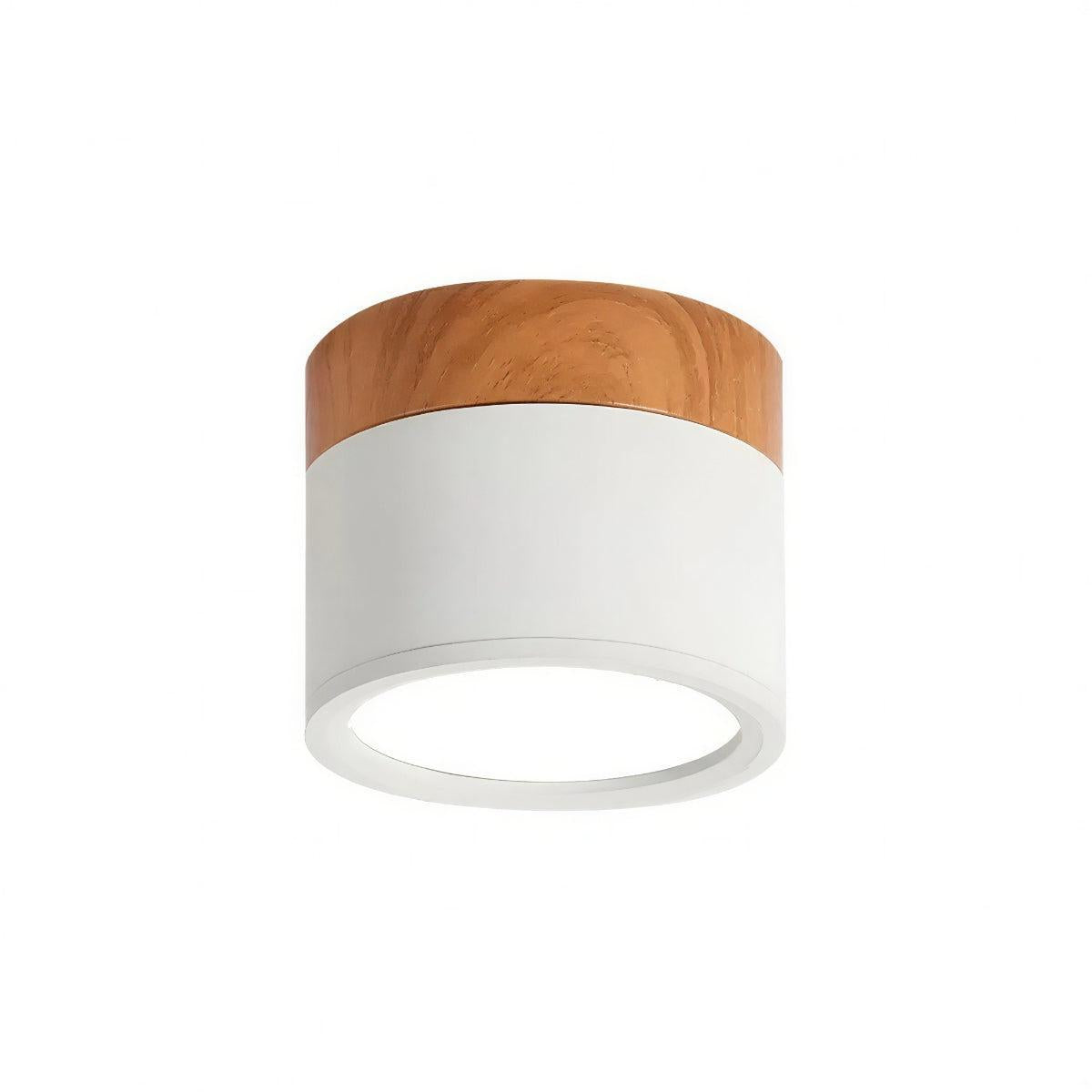 Cylindrical Flush Mount Ceiling Light Fixture With Focused Downlight