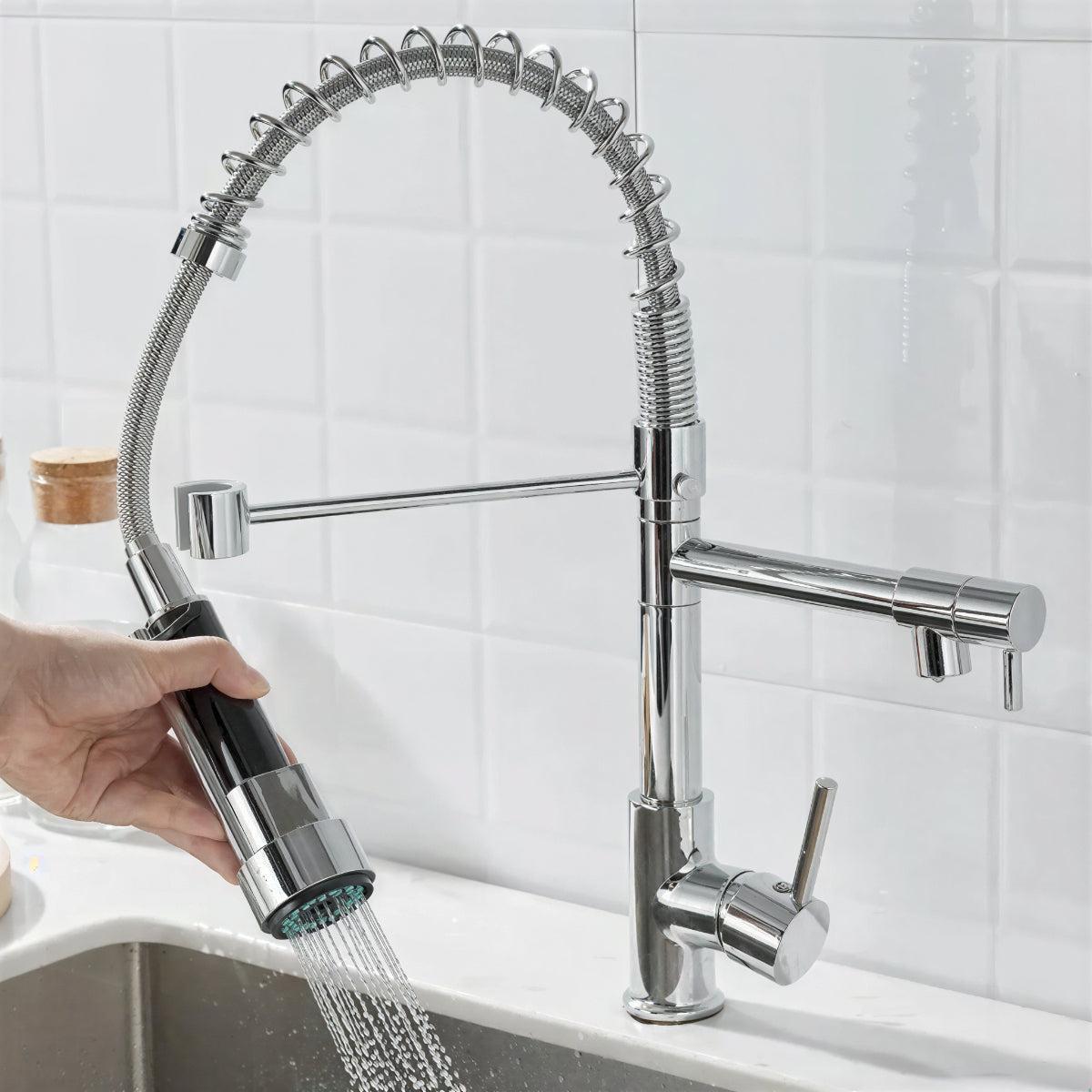 Double Outlet Kitchen Faucet With Sprayer and Swivel Spout