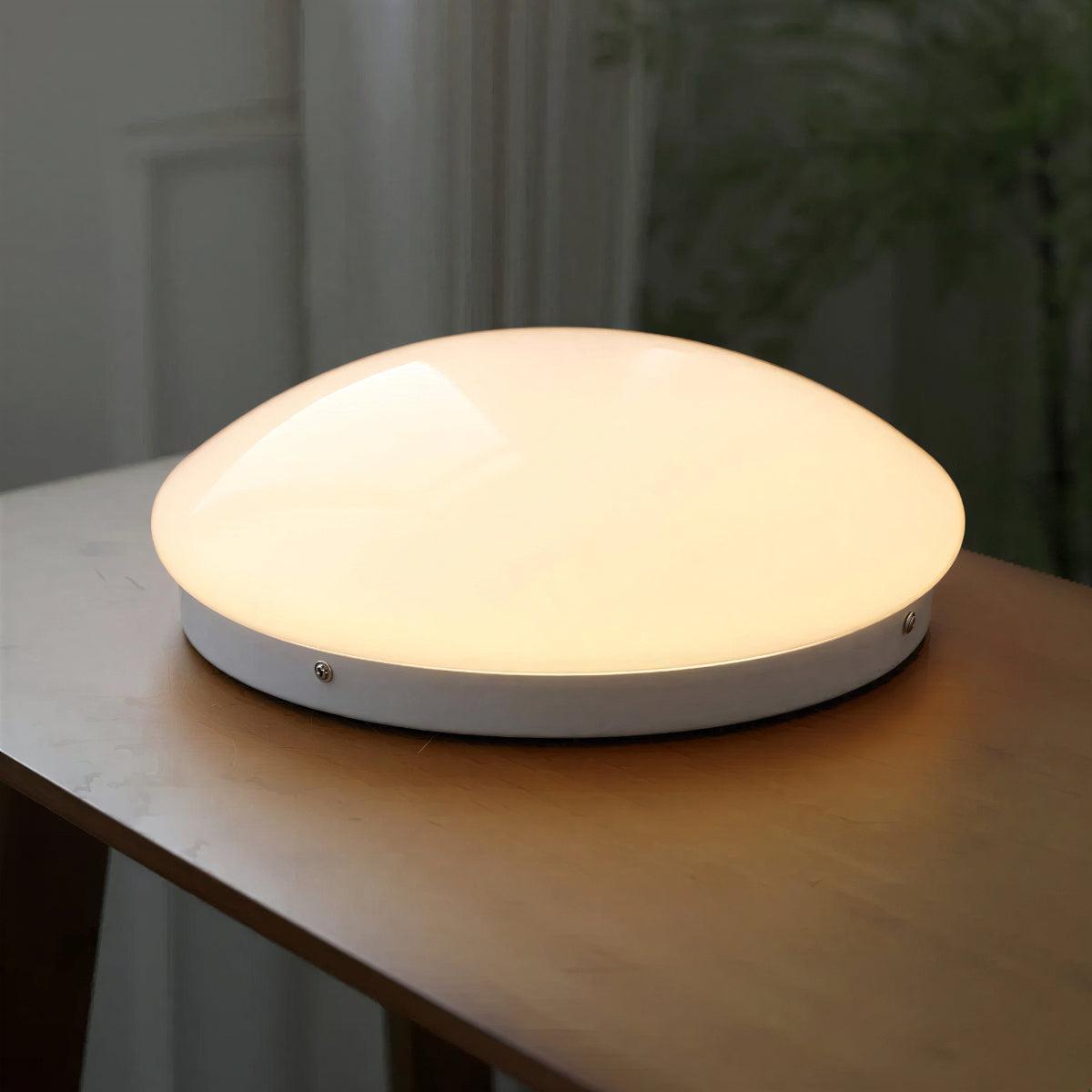 Flush Mount Ceiling Light Fixture For Modern Interiors