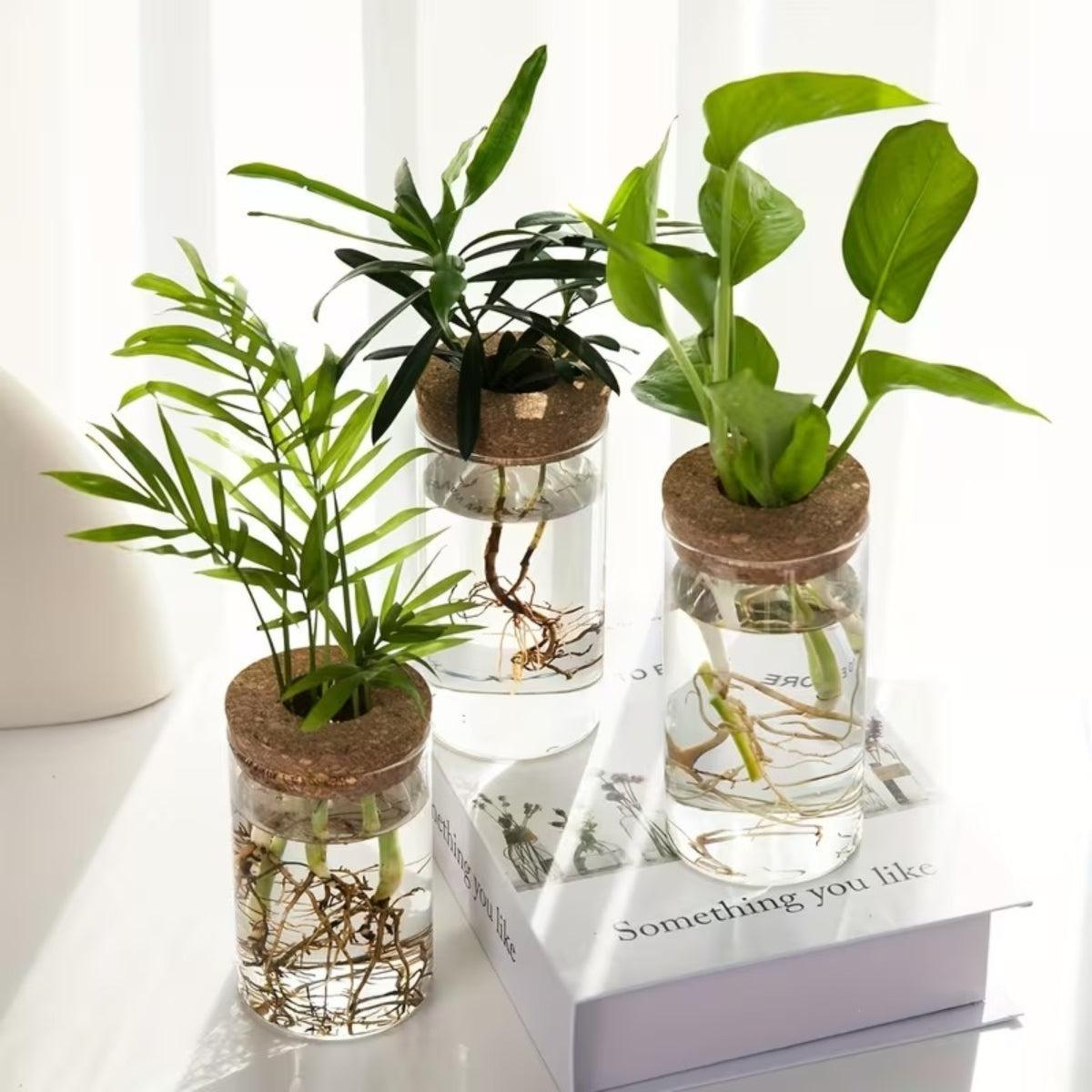 Hydroponic Propagation Flower Pot For Houseplant