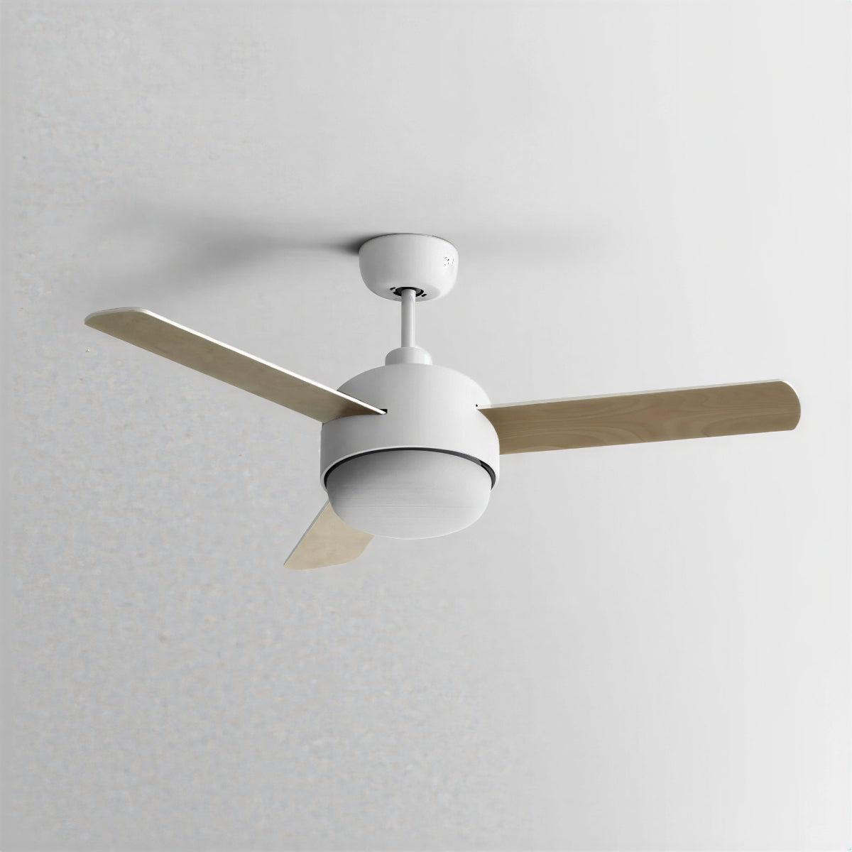Modern Nordic Ceiling Fan With Light