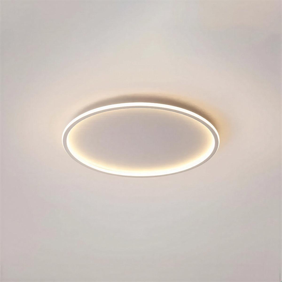 Modern Round Ceiling Light With Flush Mount Design