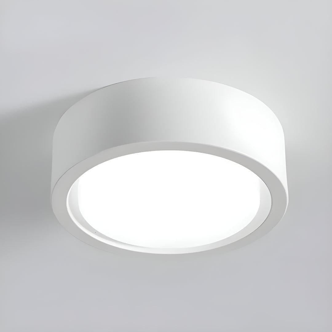 Modern Round Flush Mount Ceiling Light with Minimalist Style