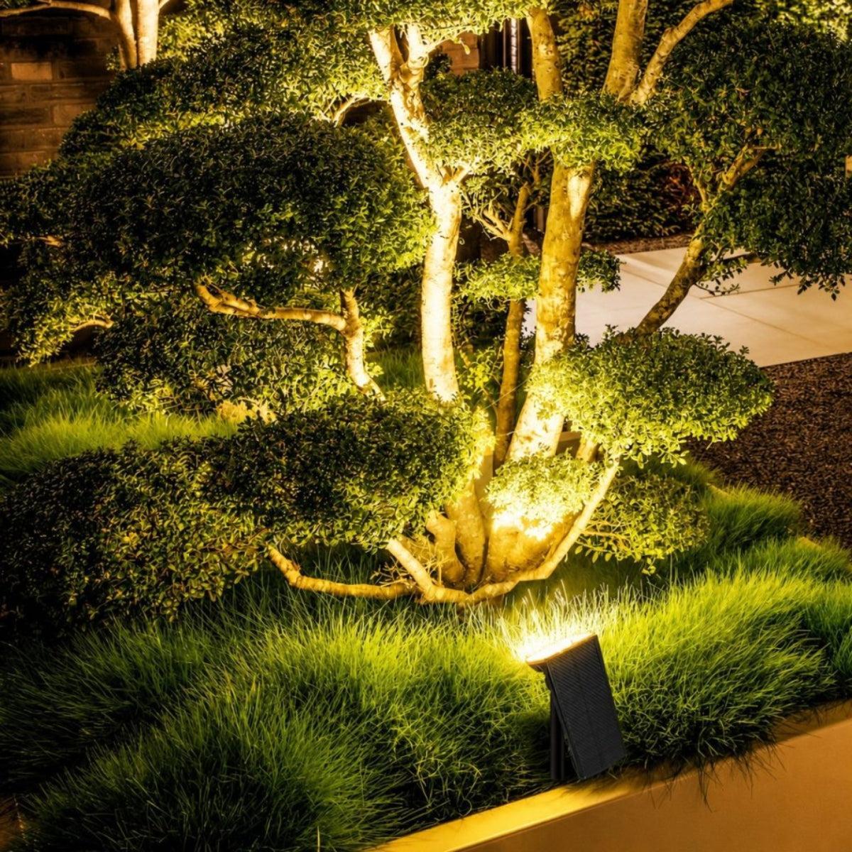 Outdoor Solar Powered Yard Garden Pathway Or Wall Light With Adjustable Spotlight