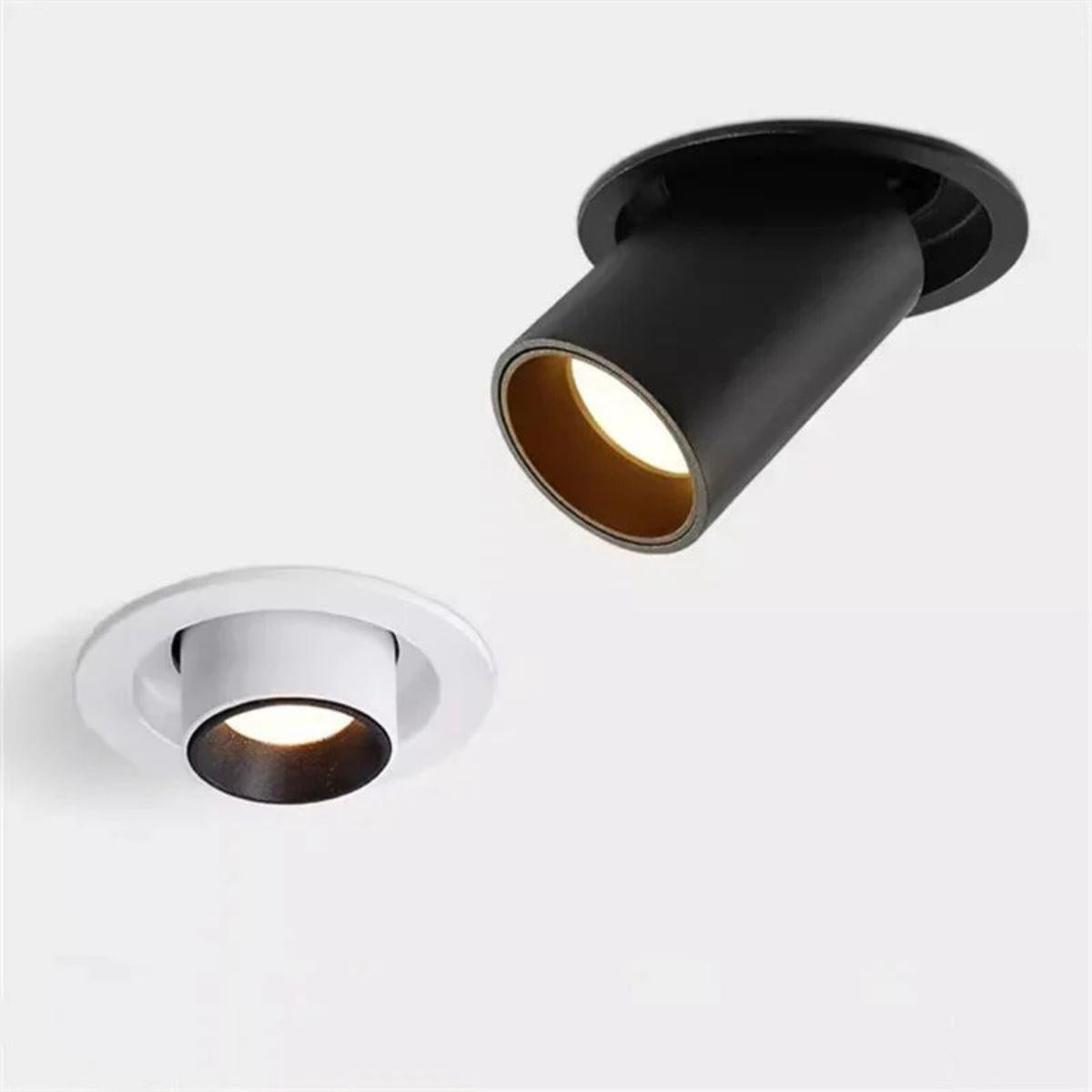 Recessed Ceiling Light With Adjustable Downlight