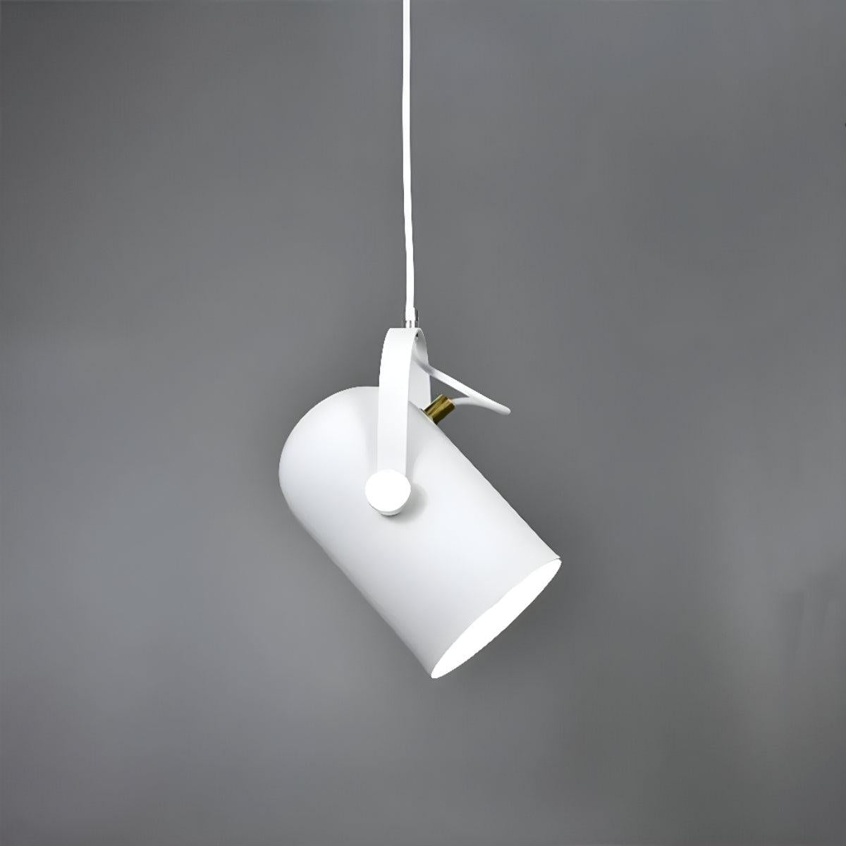 Scandinavian Pendant Ceiling Light With Hanging Adjustable Swivel Shade