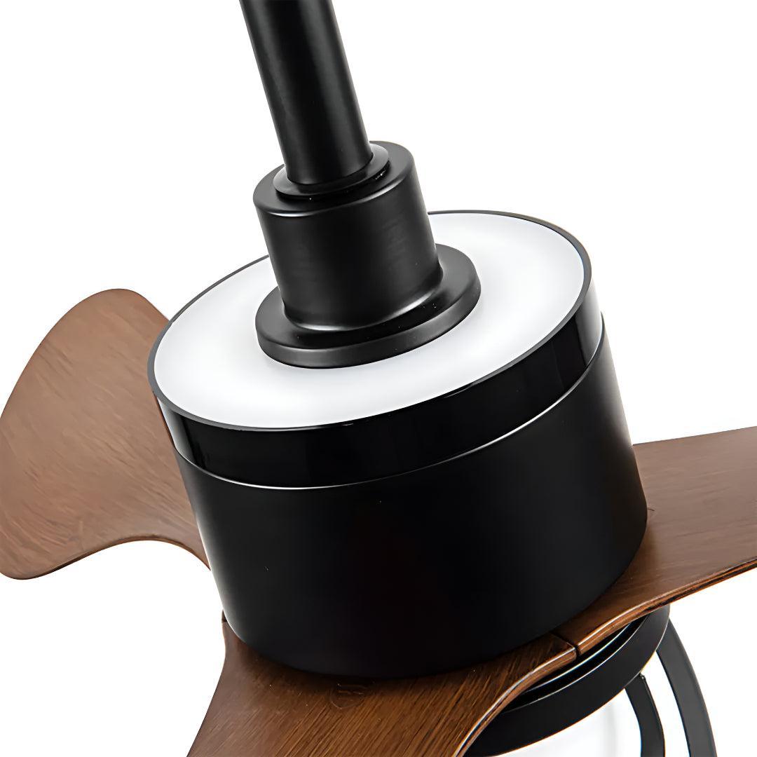 Stylish Vintage Ceiling Fan Light With Remote Control