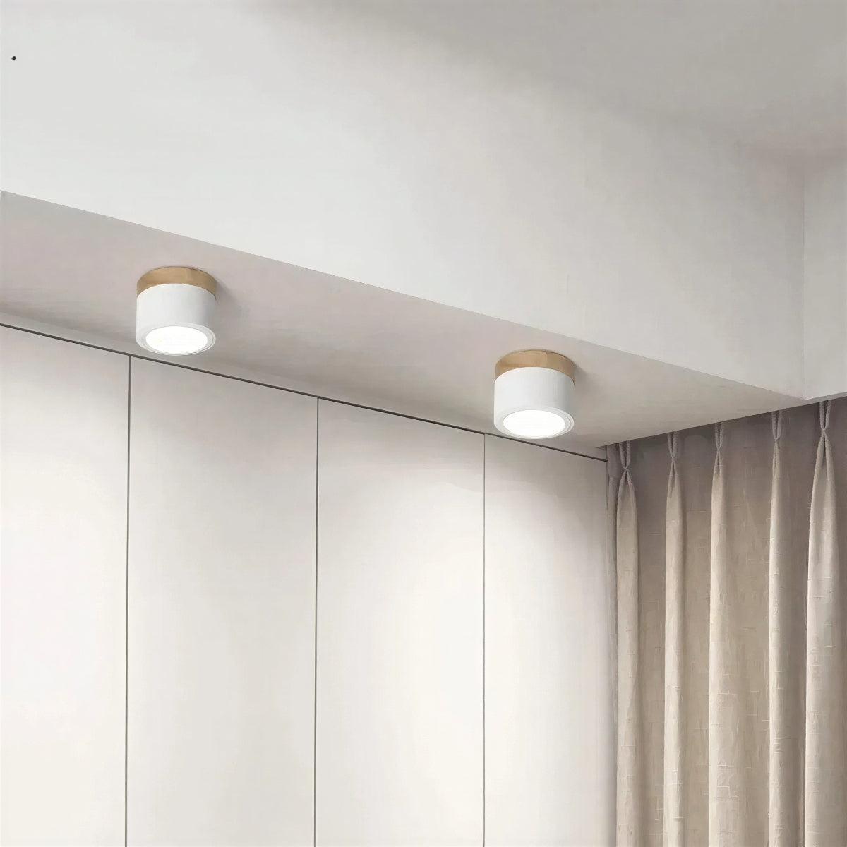 Cylindrical Flush Mount Ceiling Light Fixture With Focused Downlight