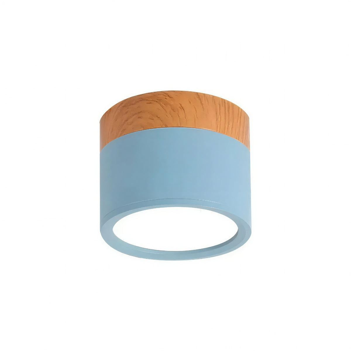 Cylindrical Flush Mount Ceiling Light Fixture With Focused Downlight