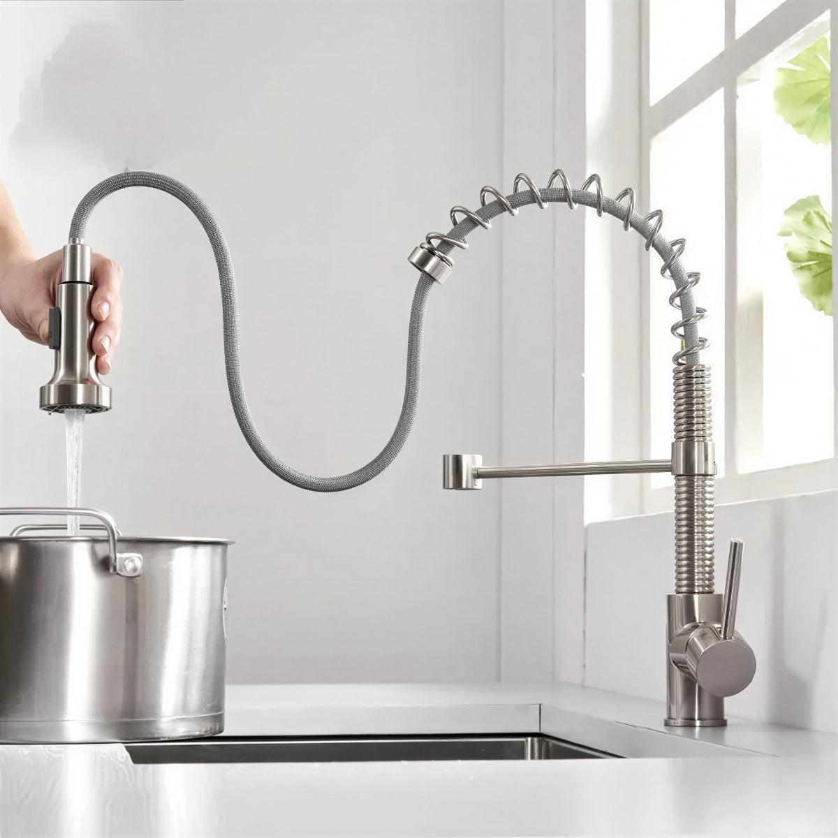 Double Outlet Kitchen Faucet With Sprayer and Swivel Spout