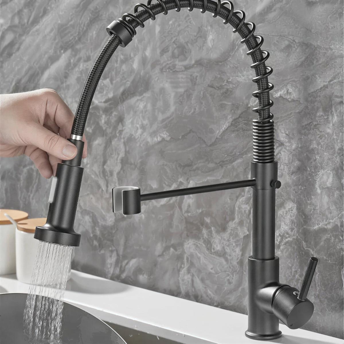 Double Outlet Kitchen Faucet With Sprayer and Swivel Spout