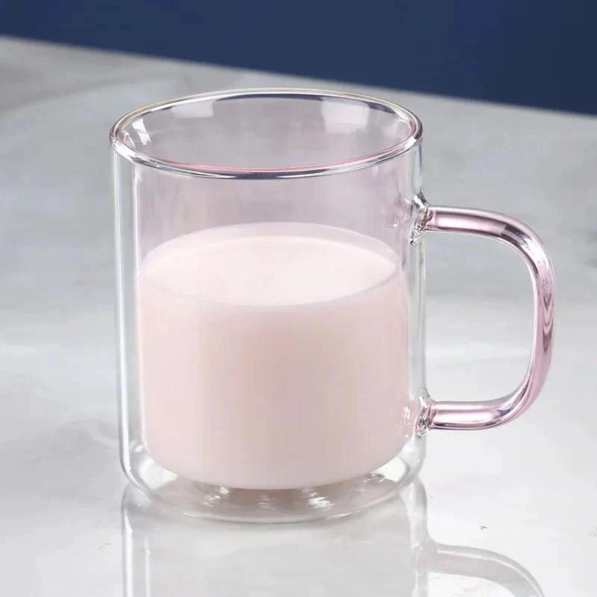 Double Walled Insulated Glass Coffee Mug With Handle