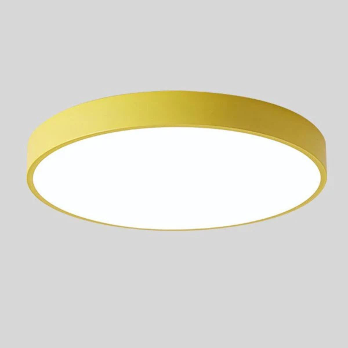 Modern Minimalist Circular Flush Mount Ceiling Lighting Fixture