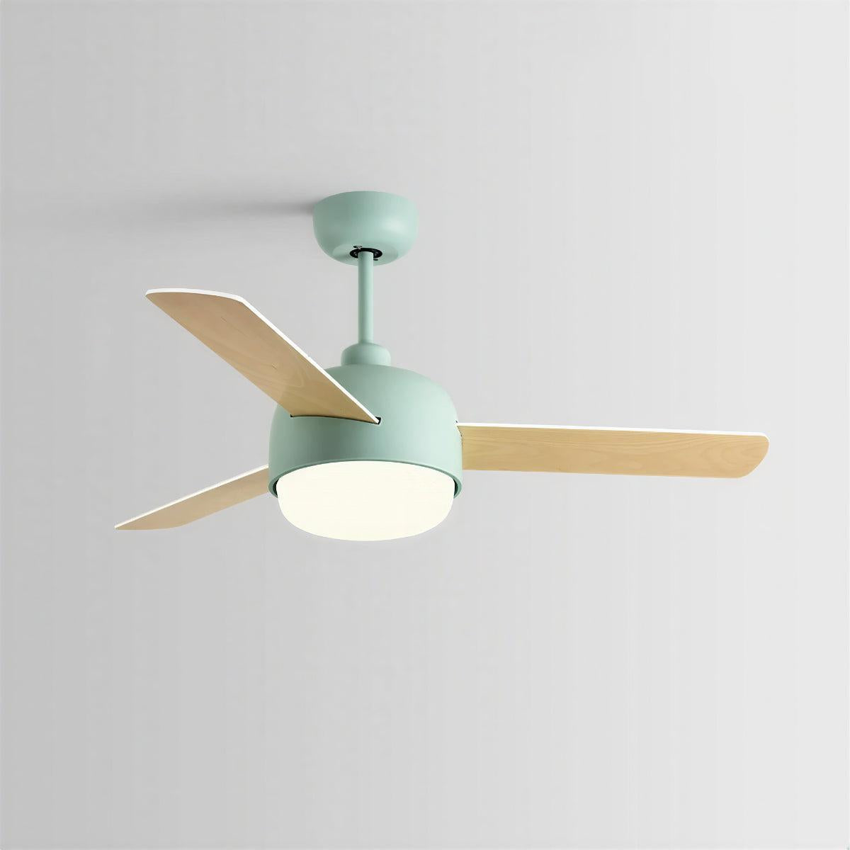 Modern Nordic Ceiling Fan With Light