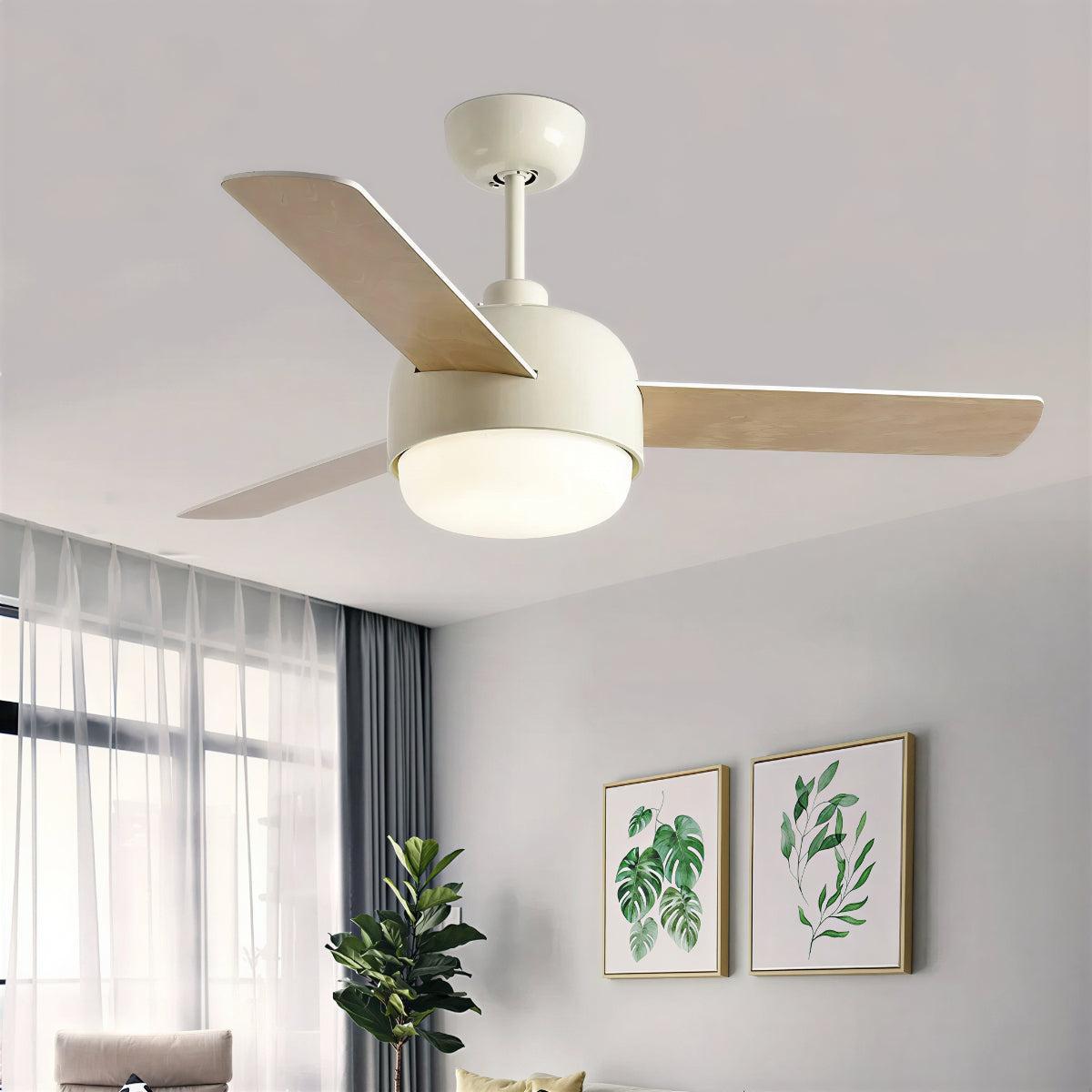 Modern Nordic Ceiling Fan With Light