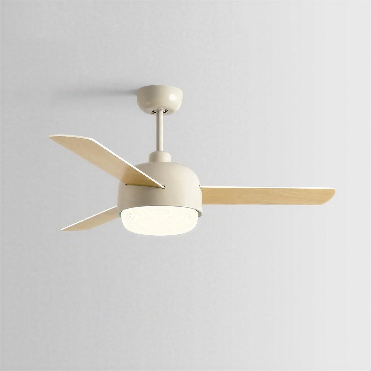 Modern Nordic Ceiling Fan With Light