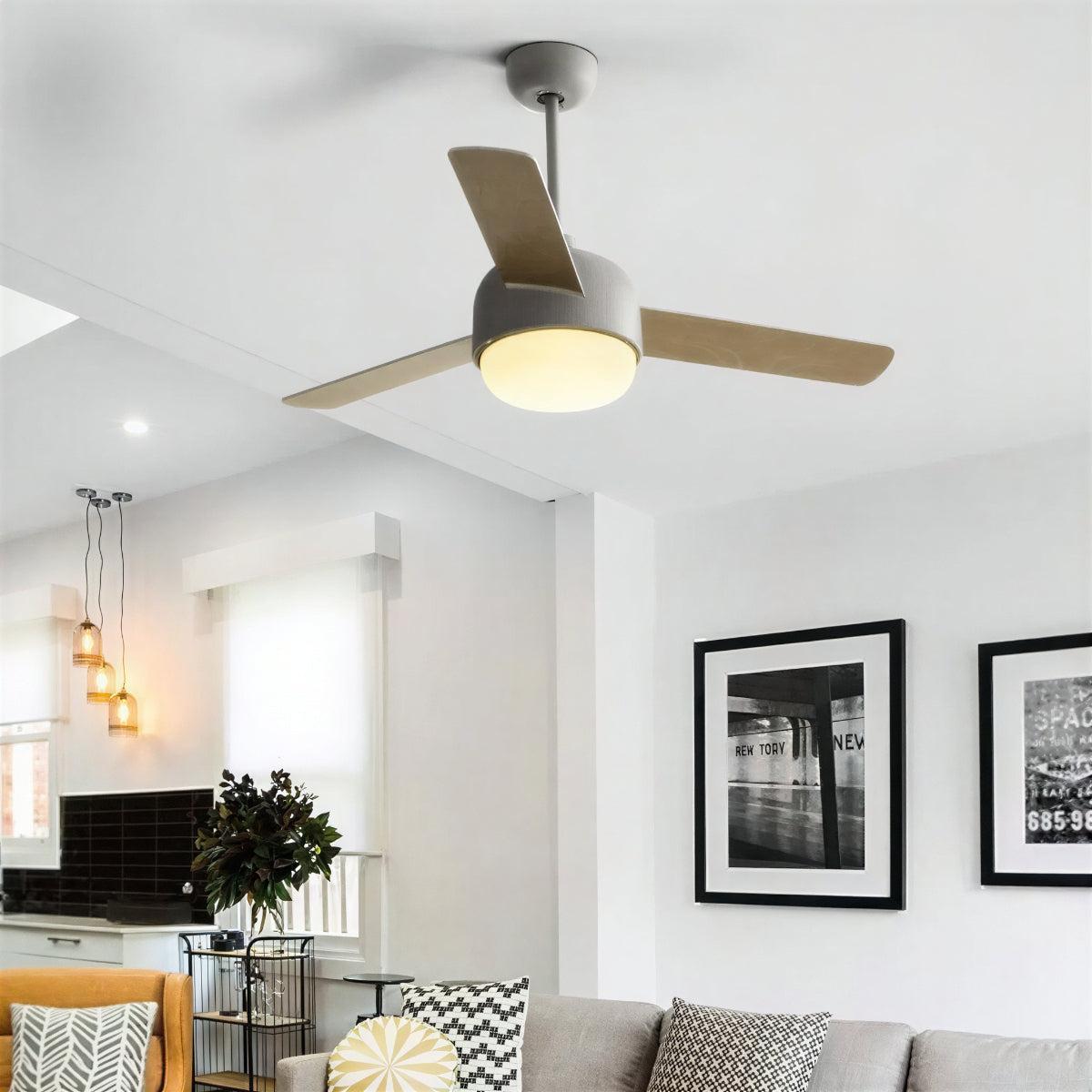 Modern Nordic Ceiling Fan With Light