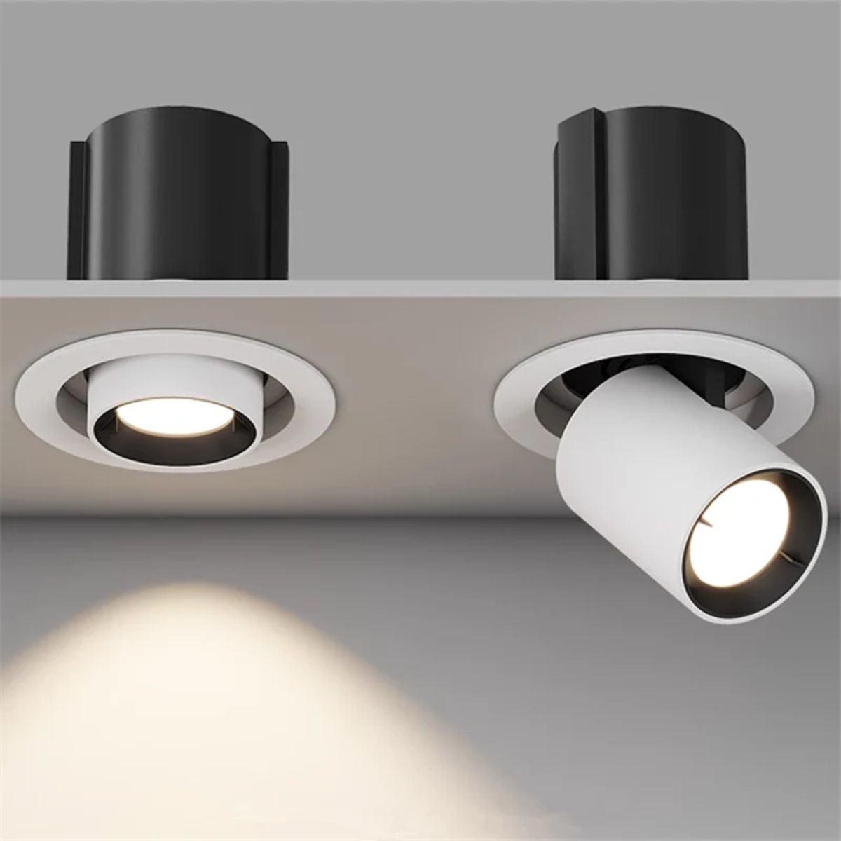 Recessed Ceiling Light With Adjustable Downlight