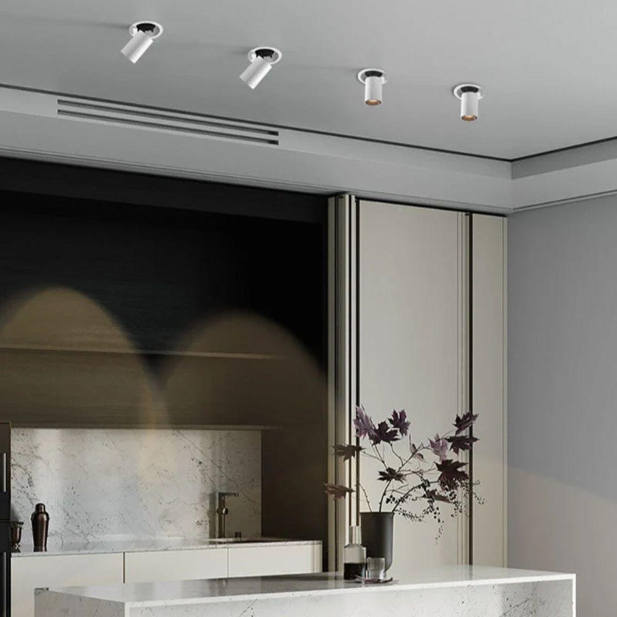 Recessed Ceiling Light With Adjustable Downlight