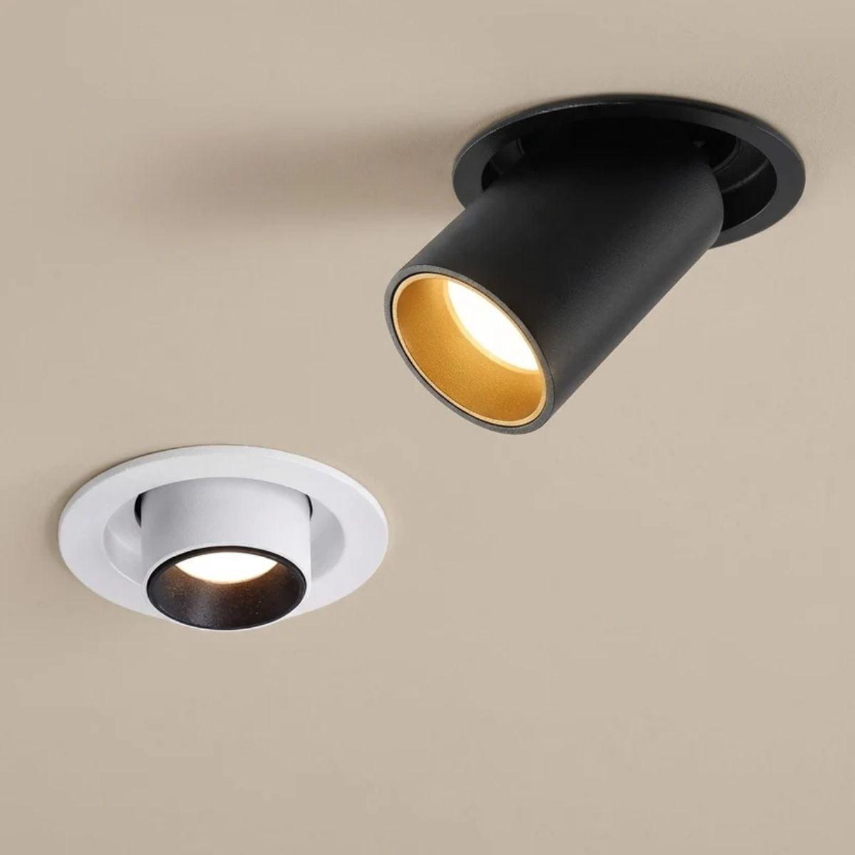 Recessed Ceiling Light With Adjustable Downlight