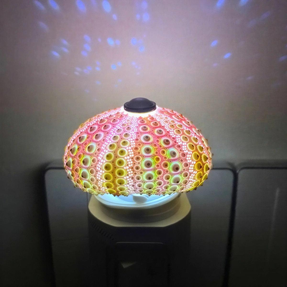 Sea Urchin Table Lamp With Ocean Lighting Design